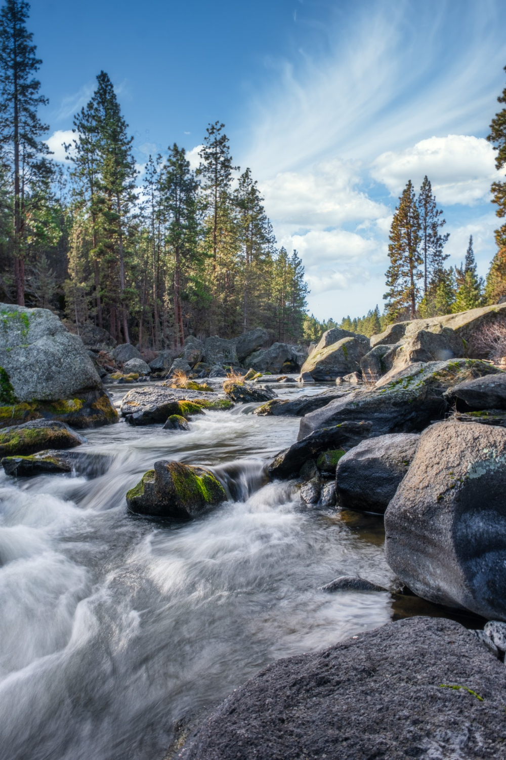 Aquatic ecosystem photo